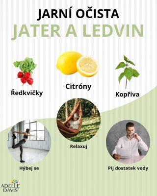 🌿 Jak podpořit játra a ledviny po zimě? 🌿 Zima je obdobím zpomalení, těžší stravy a méně pohybu. Naše tělo teď volá po...
